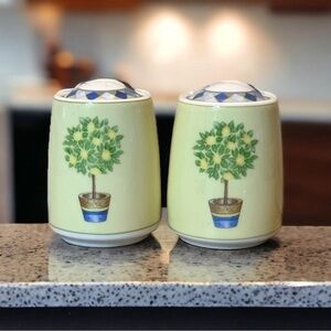 Royal Doulton Carmina (Lemon Tree) Salt & Pepper Shakers